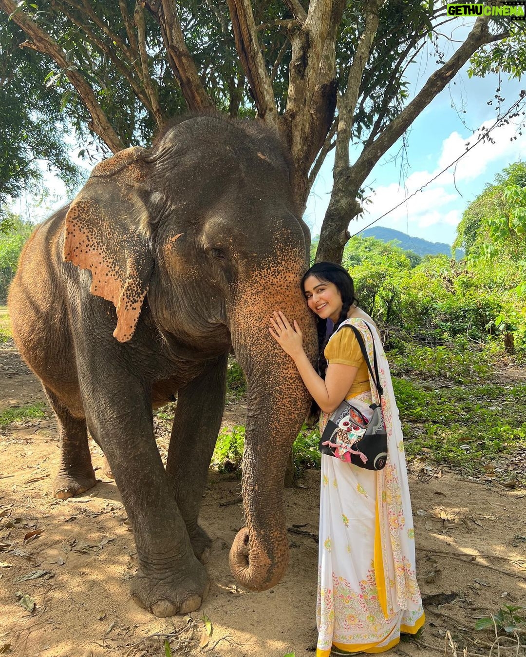 Adah Sharma Instagram - Best Actress on an audience poll jeetna matlab πππππππthank you audience β€οΈβ€οΈβ€οΈ