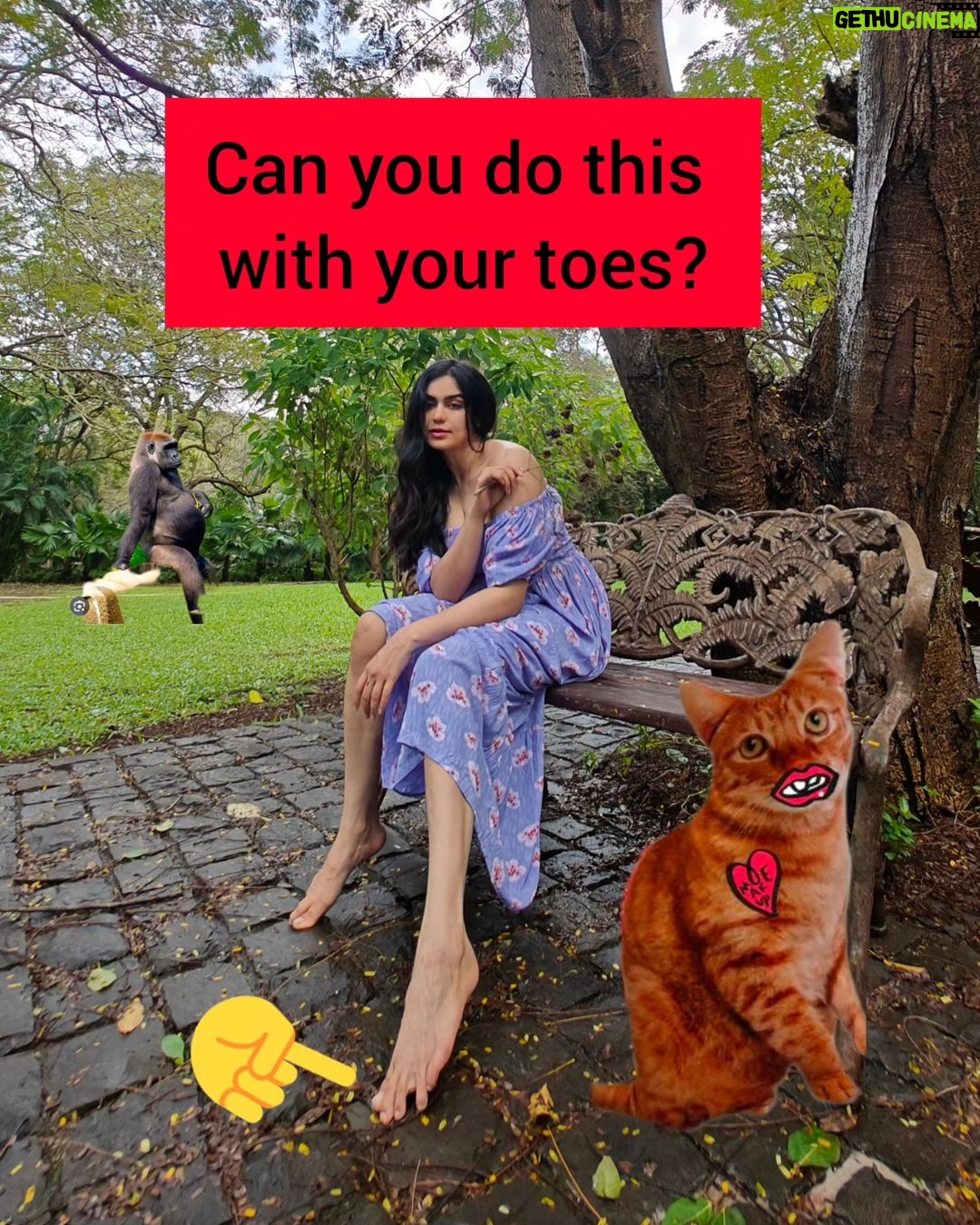 Adah Sharma Instagram - You CAN sit with us 🦍🦁🪱🐛🫀