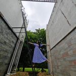 Adah Sharma Instagram – See you ladder🧚‍♀️
One step in the right direction 🪜🫀 🐊 #MyInstagramMyRuleTohPleaseMatPoochoAisePoseKyuKiya