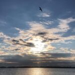 Adam Demos Instagram - Filled with gratitude