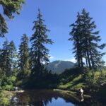 Adam Demos Instagram - Eagles bluff van couple months ago 🤙 Epic Vancouver, British Columbia