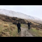 Adam Demos Instagram - Queenstown/wanaka deliver once again Cheers for the snow/hikes and most importantly vino hangovers. NZ I fuckin love you #epictrip #stilldusty #NZ @kale_hartley @keatonhartley