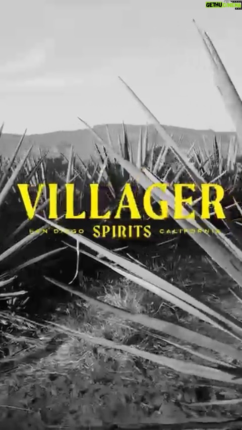 Adam Devine Instagram - I started a booze company with a bunch of friends and a few others I don’t know. Honestly a dream of mine. If you like drinking and wanna get that new new check us out. Avail now in San Diego but soon all of California and then… the world? @villagerspirits