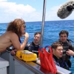 Adam Devine Instagram - Wow! It’s shark week again on @discovery. I absolutely love shark week and this year they let me take @ders808 and @blakeanderson to the Bahamas to unveil one of the largest congregations of Tiger Sharks in the world. Last year my boy @draustingallagher and I tagged a tiger shark in the Bahamas. We tracked it all year, it all the way to Canada and back to within 100 yards of where we tagged it! It’s truly a shark party!