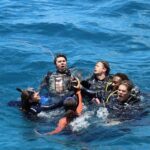 Adam Devine Instagram - Wow! It’s shark week again on @discovery. I absolutely love shark week and this year they let me take @ders808 and @blakeanderson to the Bahamas to unveil one of the largest congregations of Tiger Sharks in the world. Last year my boy @draustingallagher and I tagged a tiger shark in the Bahamas. We tracked it all year, it all the way to Canada and back to within 100 yards of where we tagged it! It’s truly a shark party!