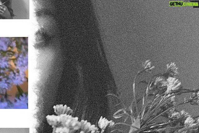 Addison Riecke Instagram - HEY ! since everyone (should be) taking this self isolation time seriously and staying home, u guys could check out my photography account @rieckelens with all the pics i take๐ฅบ๐๐ป๐๐ปit would mean a lot !!! stay safe & wash ur hands !