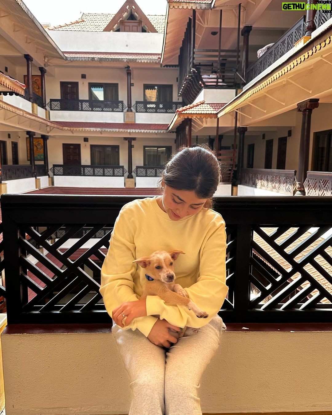 Aditi Bhatia Instagram - I am so overwhelmed with the love I’m receiving. Growing up I have always done my best to help Indies and I continue to do my bit. It’s an honour to have Ollie as a part of my family now. 🥰 I hope this message only influences you to do your bit whenever you get a chance to. It breaks my heart to see people beating feeders and videos of animal cruelty that surface on the internet every other day. This is the least I could do as an individual, I salute NGOs that are tirelessly working for animals. I’m happy that I can use my platform for the right reasons. I’m putting down all the names of the wonderful organisations, please follow them and see the beautiful side of humanity. Do try and help whenever an instance arises, your small move can help save a life ✨ @rai_manavi @kartavyasociety @loonytails @funandfur @stronglittlepaws @allcreaturesgreatandsmallngo @theweexistfoundation @waggingtales_in @letthepawroar @peepalfarm @_heartilyclaws_ @pawthon @tales_of_tailss @rescuebygarima @voice_of_stray_animals_hapur @perroayuda @animalaid_india @street_worldz709 @straydogsfeeder