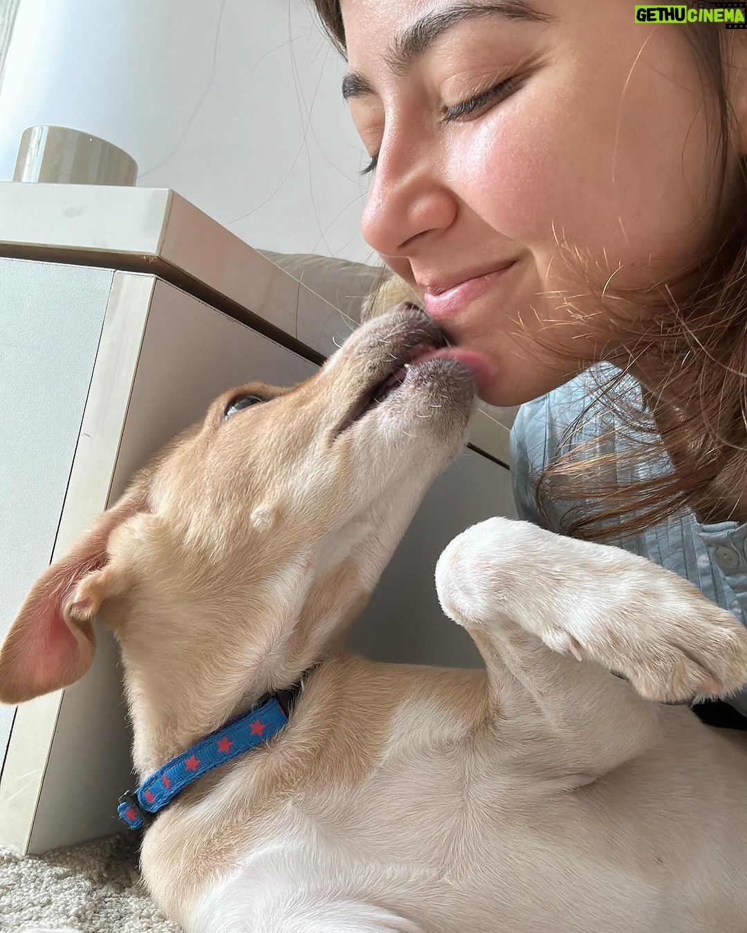 Aditi Bhatia Instagram - I am so overwhelmed with the love I’m receiving. Growing up I have always done my best to help Indies and I continue to do my bit. It’s an honour to have Ollie as a part of my family now. 🥰 I hope this message only influences you to do your bit whenever you get a chance to. It breaks my heart to see people beating feeders and videos of animal cruelty that surface on the internet every other day. This is the least I could do as an individual, I salute NGOs that are tirelessly working for animals. I’m happy that I can use my platform for the right reasons. I’m putting down all the names of the wonderful organisations, please follow them and see the beautiful side of humanity. Do try and help whenever an instance arises, your small move can help save a life ✨ @rai_manavi @kartavyasociety @loonytails @funandfur @stronglittlepaws @allcreaturesgreatandsmallngo @theweexistfoundation @waggingtales_in @letthepawroar @peepalfarm @_heartilyclaws_ @pawthon @tales_of_tailss @rescuebygarima @voice_of_stray_animals_hapur @perroayuda @animalaid_india @street_worldz709 @straydogsfeeder