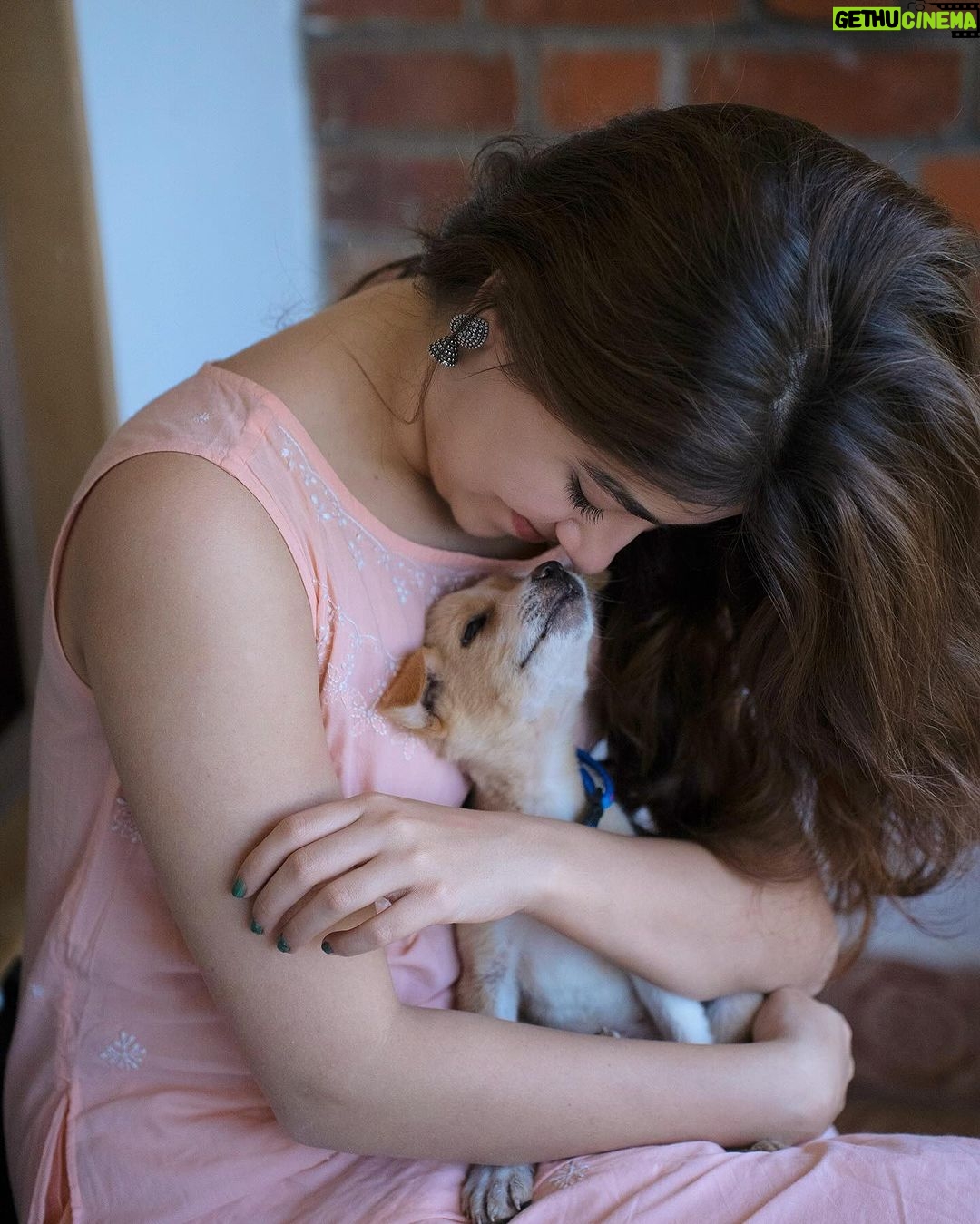 Aditi Bhatia Instagram - I am so overwhelmed with the love I’m receiving. Growing up I have always done my best to help Indies and I continue to do my bit. It’s an honour to have Ollie as a part of my family now. 🥰 I hope this message only influences you to do your bit whenever you get a chance to. It breaks my heart to see people beating feeders and videos of animal cruelty that surface on the internet every other day. This is the least I could do as an individual, I salute NGOs that are tirelessly working for animals. I’m happy that I can use my platform for the right reasons. I’m putting down all the names of the wonderful organisations, please follow them and see the beautiful side of humanity. Do try and help whenever an instance arises, your small move can help save a life ✨ @rai_manavi @kartavyasociety @loonytails @funandfur @stronglittlepaws @allcreaturesgreatandsmallngo @theweexistfoundation @waggingtales_in @letthepawroar @peepalfarm @_heartilyclaws_ @pawthon @tales_of_tailss @rescuebygarima @voice_of_stray_animals_hapur @perroayuda @animalaid_india @street_worldz709 @straydogsfeeder