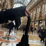 Adriane Galisteu Instagram - Ciau Milano 🇮🇹 #mfw #lifestyle #italia Galleria Vittorio Emanuele II