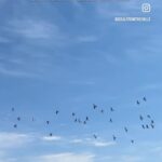 Afsana Khan Instagram - Koi si ❤️