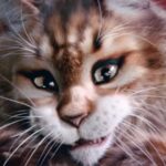 Agata Mutsenietse Instagram - Трейлер семейной комедии «КОТ И ПЕС», где главных анимированных персонажей озвучили Агата Муцениеце (Кошка Дива) и Никита Кологривый. Сюжет: Коты и собаки, как известно, редко ладят. Но этой парочке придется действовать сообща, чтобы вернуться к своим хозяевам и уютной жизни любимых домашних питомцев. По нелепой случайности они потерялись в аэропорту, и теперь «лучшим врагам» предстоит отправиться в опасное, но захватывающее путешествие. А тем временем их хозяева – звезда социальных сетей и профессиональный вор, объединятся, чтобы отыскать своих любимцев. #АгатаМуцениеце #AgataMuceniece #НикитаКологривый #КотиПес