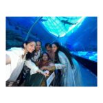 Ahana Kumar Instagram - A fun day walking through Orchard Road , hanging on Cable Cars and seeing lots and lots of Fishes 😌🐟 #Singapore 🌸