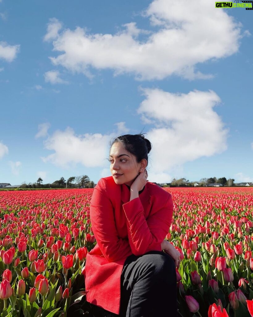 Ahana Kumar Instagram - Never Ending Tulip Fields 🌷 A Dream For Sure 🫶🏻 #Netherlands #Holland #TulipFields 🤍✨