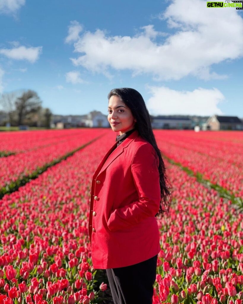 Ahana Kumar Instagram - Never Ending Tulip Fields 🌷 A Dream For Sure 🫶🏻 #Netherlands #Holland #TulipFields 🤍✨