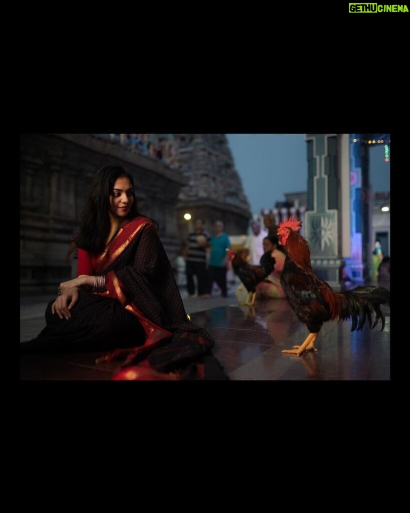 Ahana Kumar Instagram - keep swiping to meet a couple of my friends shot by @studio.molecule styled by Me :))) #Madras