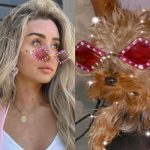 Ahmad Fahmy Instagram – نساء في حياتي 
@hannahelzahed 
@zizi_fahmy_