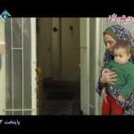 Ahmad Mehranfar Instagram - شادي...بله خطر...نه...مَن نه.