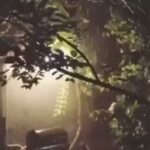 Ahmad Mehranfar Instagram – هشیارکسی باید، کَز عشق بپرهیزد		وین طبع که من دارم با عقل نیامیزد 
 	آن کس که دلی دارد آراسته‌ی معنی		گر هر دو جهان باشد، در پای یکی ریزد 
 	گر سیلِ عِقاب آید، شوریده نَیَندیشد		ور تیرِ بَلا بارَد، دیوانه نپرهیزد 

#محمد_رضا_شجریان 
#سعدی 
#باران