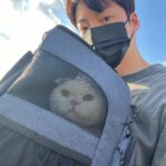 Ahn Jae-hyun Instagram -