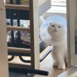 Ahn Jae-hyun Instagram –