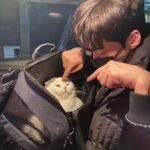 Ahn Jae-hyun Instagram –