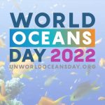 Aidan Gallagher Instagram - Celebrate the @unitednations #WorldOceansDay 🐬 through revitalization and collective action! #ActNow