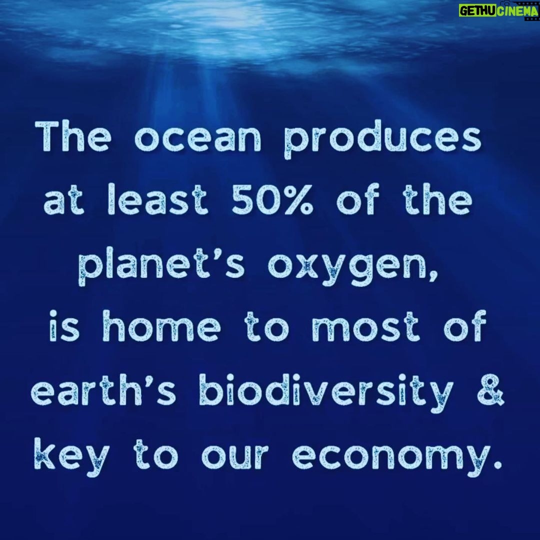 Aidan Gallagher Instagram - Happy #WorldOceansDay 🌊 @unep Toronto, Ontario
