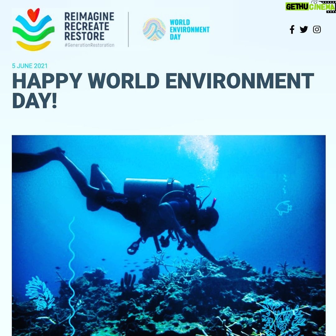 Aidan Gallagher Instagram - Happy World Environment Day! 🌍 Go to @unep to learn more! Join the #GenerationRestoration and #ActNow to Reimagine Recreate and Restore a world in sync with all living things ♥️♻️ Toronto, Ontario
