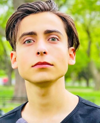 The Top 10 Most Loved Instagram Photos by Aidan Gallagher