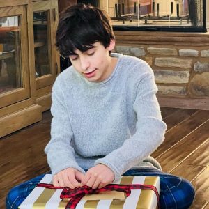 Aidan Gallagher Instagram - Happy Holidays ♥️