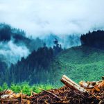 Aidan Gallagher Instagram - Unsustainable development disrupts nature and increases contact between wildlife🦇, livestock🐄, pathogens 🦠 and people 👨‍👩‍👧. ⚠️ This is a path to future pandemics⚠️ ⏫ Head to @unep stories to learn more on what should be done to avoid the ‘Era of Pandemics’. 🦠🔬💉🚨🏥
