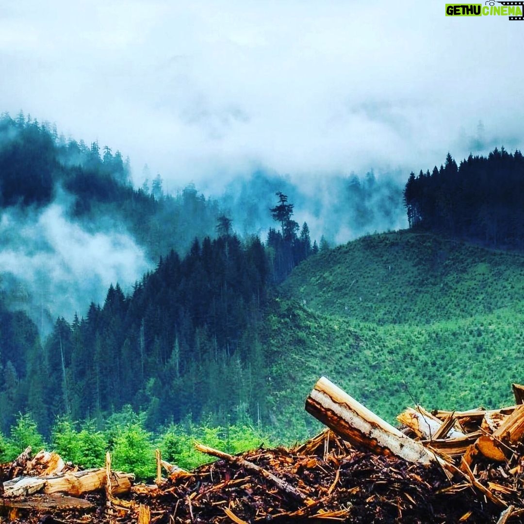 Aidan Gallagher Instagram - Unsustainable development disrupts nature and increases contact between wildlife🦇, livestock🐄, pathogens 🦠 and people 👨👩👧. ⚠️ This is a path to future pandemics⚠️ ⏫ Head to @unep stories to learn more on what should be done to avoid the ‘Era of Pandemics’. 🦠🔬💉🚨🏥
