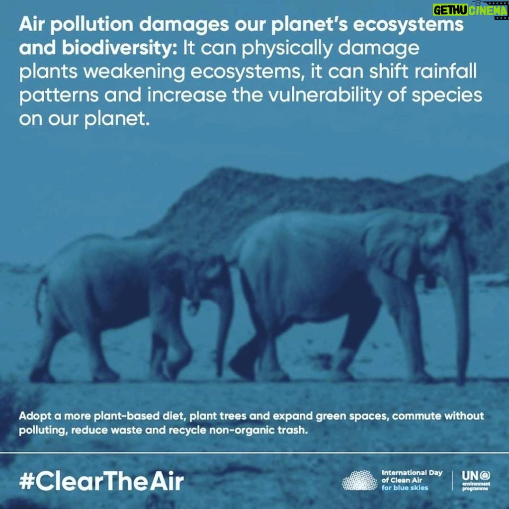 Aidan Gallagher Instagram - Air pollution damages our planet’s ecosystems & biodiversity. It decreases the oxygen supply in our oceans, increases the vulnerability of species on our planet, makes it harder for plants to grow & contributes to the #ClimateCrisis. To #ClearTheAir we can adopt a more plant-based diet 🥕, plant tress 🌳 & expand green spaces🌱. Taking action to ensure #CleanAirForAll is also taking action #ForNature & #ClimateAction. Click on the link in our bio and spin to inspire action to #ClearTheAir! @unep