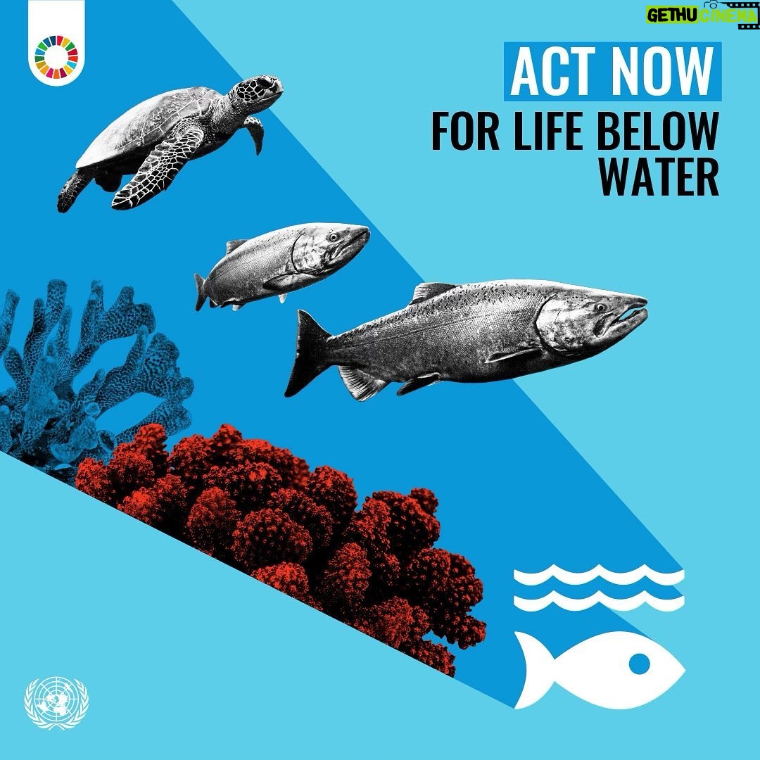 Aidan Gallagher Instagram - A healthy ocean benefits everyone & helps achieve the #GlobalGoals. Join me and the @UN and #ActNow to #SaveOurOcean: https://www.un.org/sustainabledevelopment/5-actions-you-can-take-to-saveourocean/ @unitednations, @unep Seattle, Washington