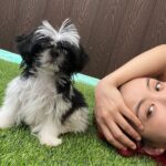 Aiki Instagram - 최애의 주말. 콩이랑🐾 #시츄엄마 #최애의아이키