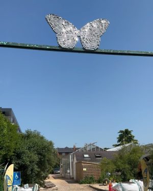 Aima Baig Instagram - Dump #1 from more than 17k forsaken photos from my phone gallery that never made it to the ‘gram but here we are… revealing slowly but surely.

Btw i went to a Butterfly Farm and as pretty as it was, i kept wondering one thing. If you cut off their wings, they r just a bug that can easily freak me out. 
Heres to the first dump 🥂🦋