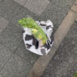 Aimyon Instagram - やほー。毎日鍋で良い季節まですぐそこやね。 私はウインナーと厚揚げ入れるのが好き。 今夜、タモリ倶楽部でケンコバさんとタモリさんと ラブホ🏩開拓してます、よい子は見てね❕🕯 その前に「強くなっちゃったんだ、ブルー」のMV解禁です。 よろしくちゃん。