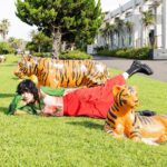Aimyon Instagram - 12 single 「ハート」🐯🤍