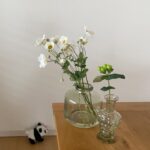 Aimyon Instagram - ライブは今年あと2本、と。 ちょっと少ないけど、 あーん、忘れないで〜。 っていつもウネウネしてます。 ギターも歌も練習しないとな。 可愛い高い声でMCする練習しとこ🤍