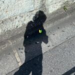 Aimyon Instagram - 〜の心