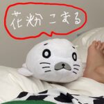 Aimyon Instagram - せやな 1回きえてもたな、 手滑ったな、 なっ、 やから、ごまきちドアップめにしとこな、
