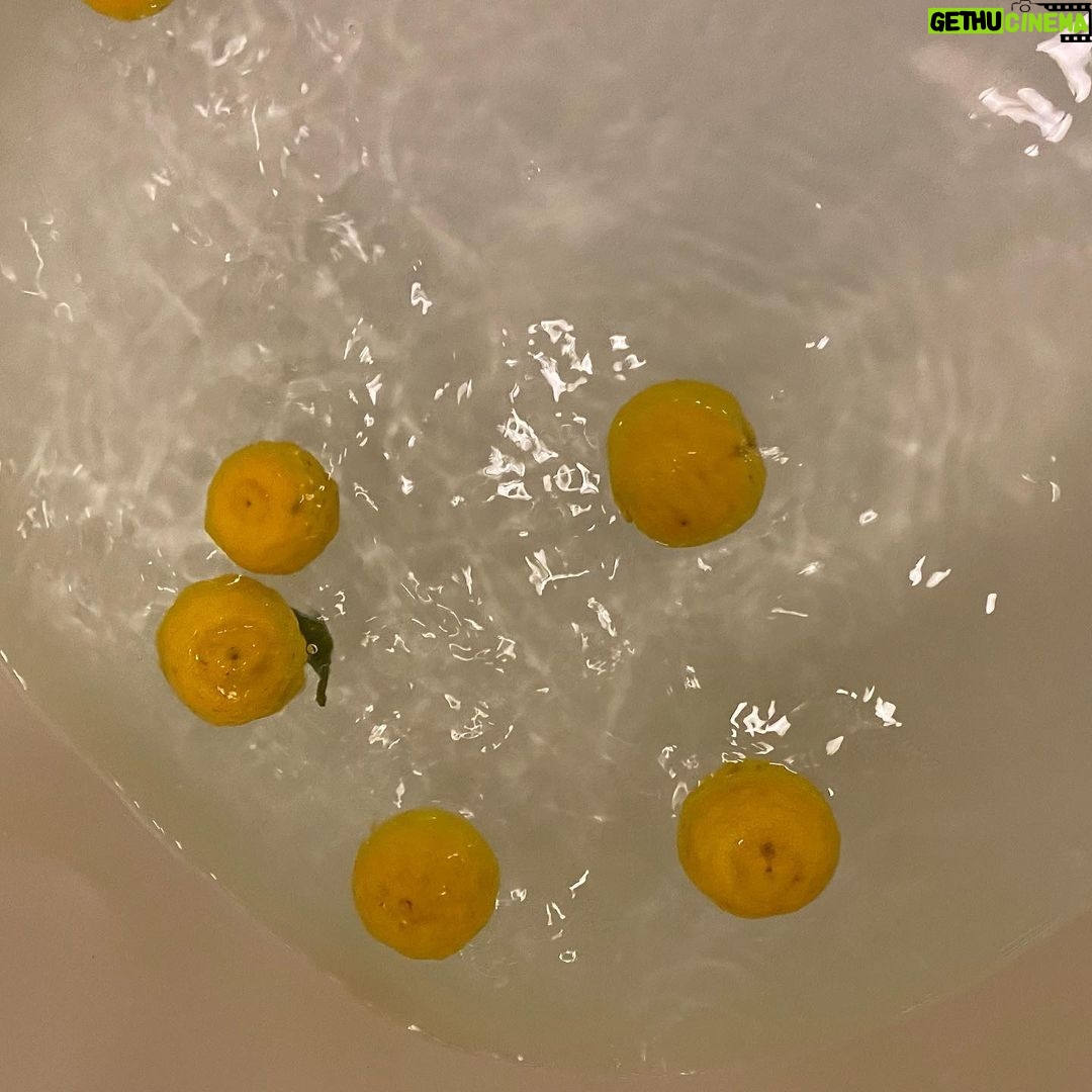 Aimyon Instagram - 大好きなご夫婦から お風呂にどうぞと、柚子頂いて。 初めて家で柚子風呂したねん。 明日良い歌歌えそう。 皆さんに楽しんでもらえたら 嬉しいな、私も楽しむぴいす🐭🍷