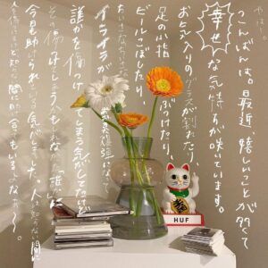 Aimyon Instagram - 