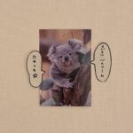Aimyon Instagram - 推しのおもちちゃんも、そう言ってます！ マジカル・バスルーム TOUR♨️ お背中も嫌なことも流します〜！ 会いに湯くよん。