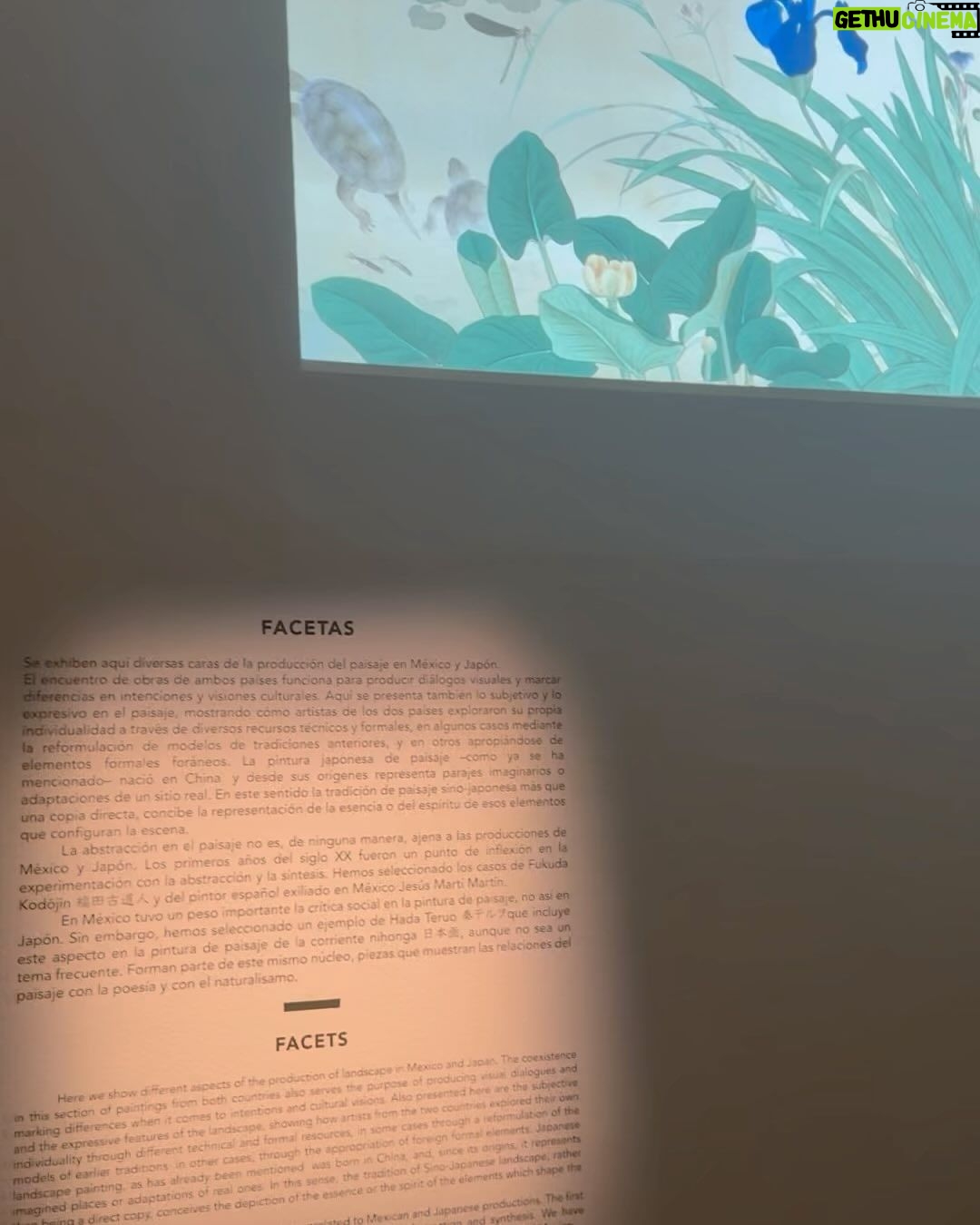 Aislinn Derbez Instagram - Una de esas noches mágicas con @Dior en el @museokaluz , celebrando el arte, la cultura y a las mujeres mexicanas como Martina García Cruz, a quien se le reconoció por sus tejidos que forman parte de los artes más intrínsecos y bellos que tiene México. Museo Kaluz