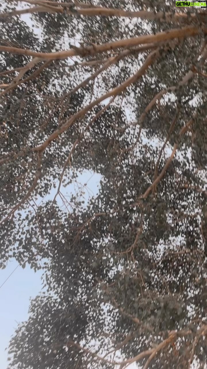 Akanksha Dubey Instagram - 😂😂😂 haaye haaye 🤭