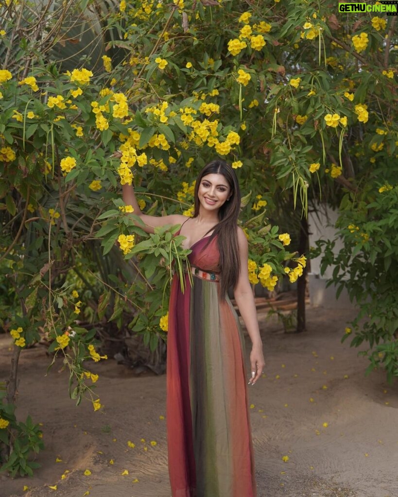Akanksha Puri Instagram - Creating my own sunshine 🌞 . . #beingme #akankshapuri #❤️ pic credit @iam_rajinamdar outfit @nirmikabykhushboo Styled by @fashket_by_vrinda Make up @shahmak Diu, India