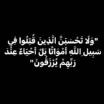 Akram Hosni Instagram -