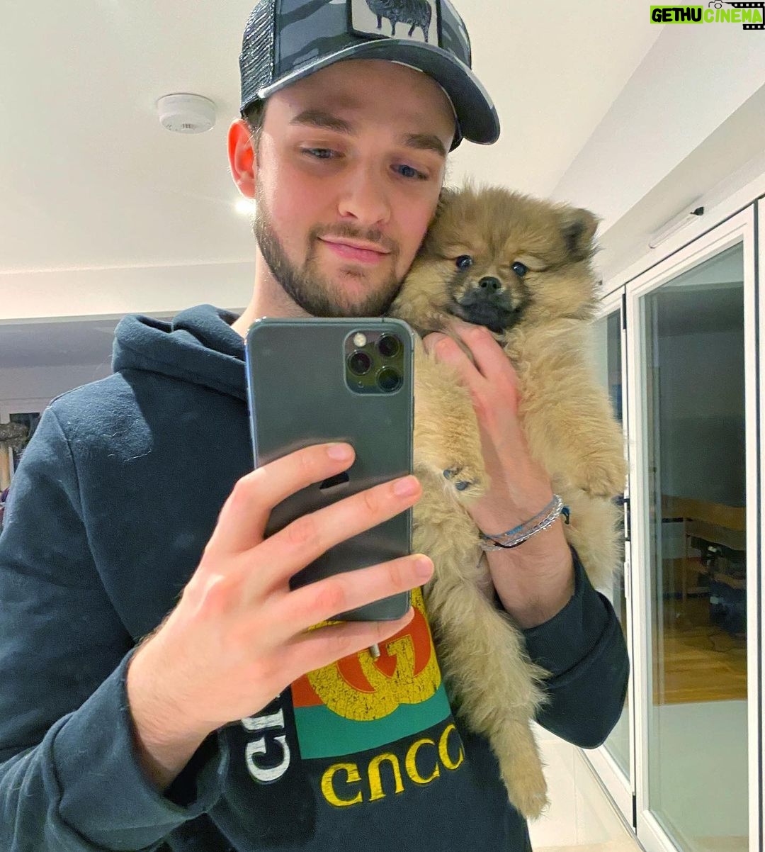 Alastair Aiken Instagram - Lexi says βHey!β πΆππ»